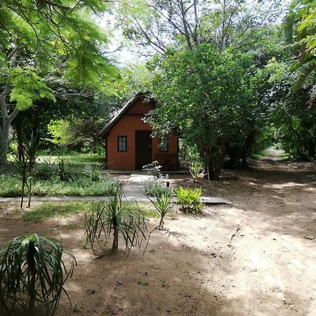 Villa We Bushcamp & Horse Safaris Hluhluwe Exterior foto