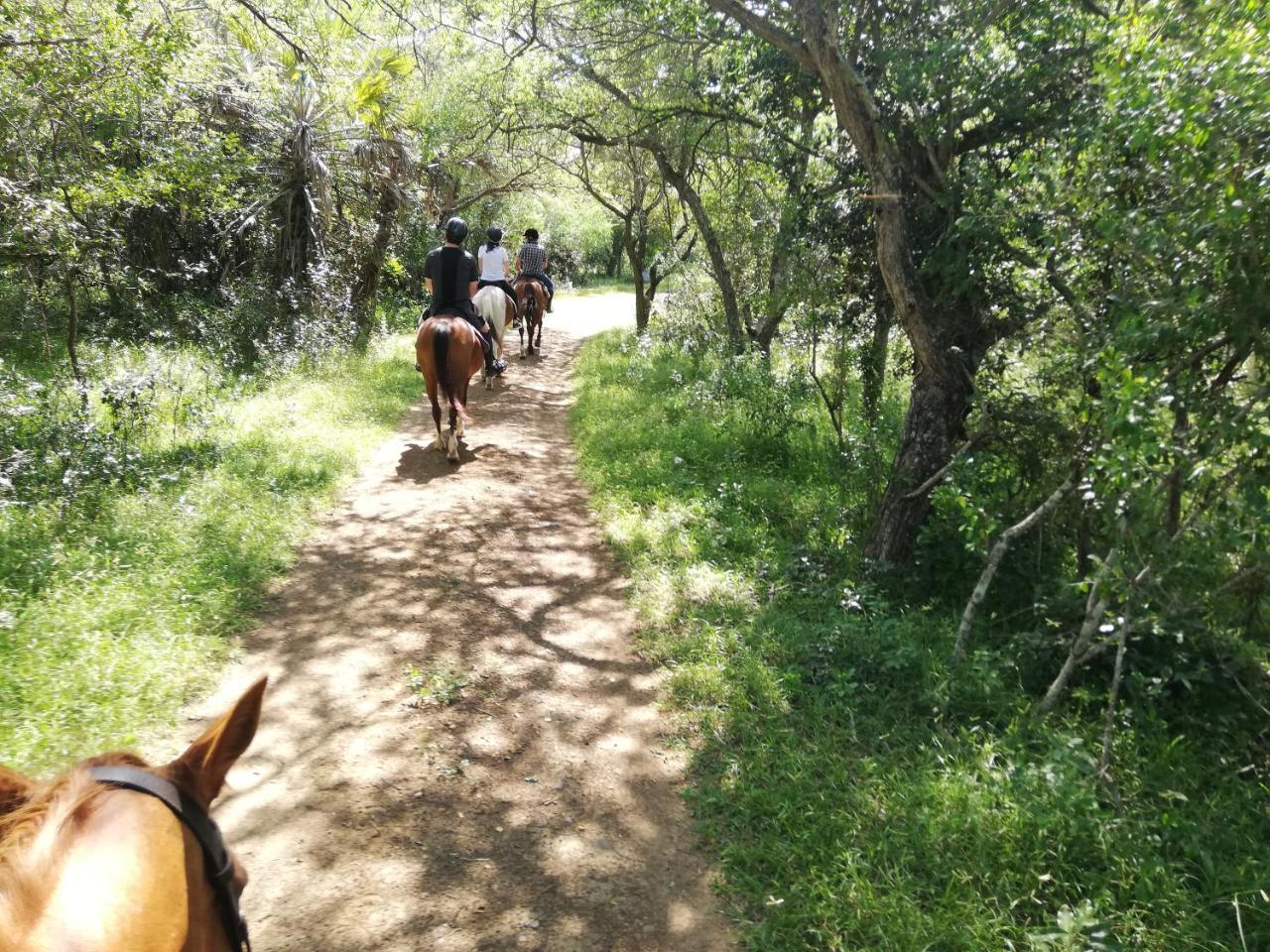 Villa We Bushcamp & Horse Safaris Hluhluwe Exterior foto