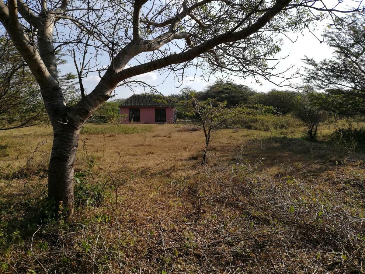Villa We Bushcamp & Horse Safaris Hluhluwe Exterior foto