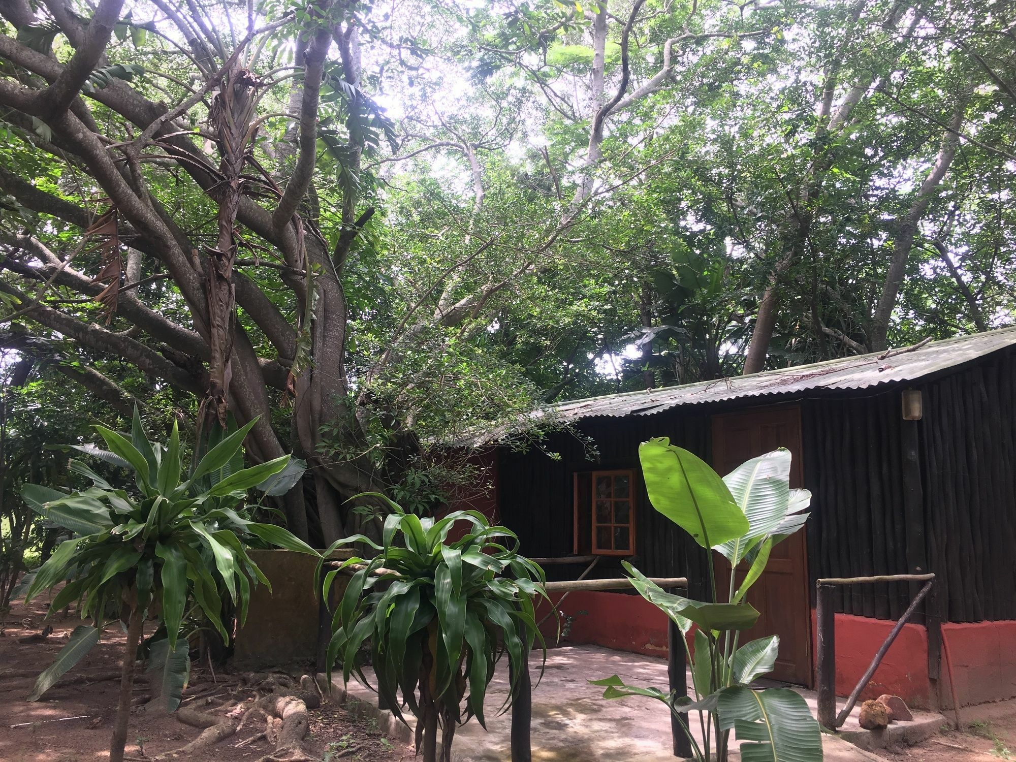 Villa We Bushcamp & Horse Safaris Hluhluwe Exterior foto