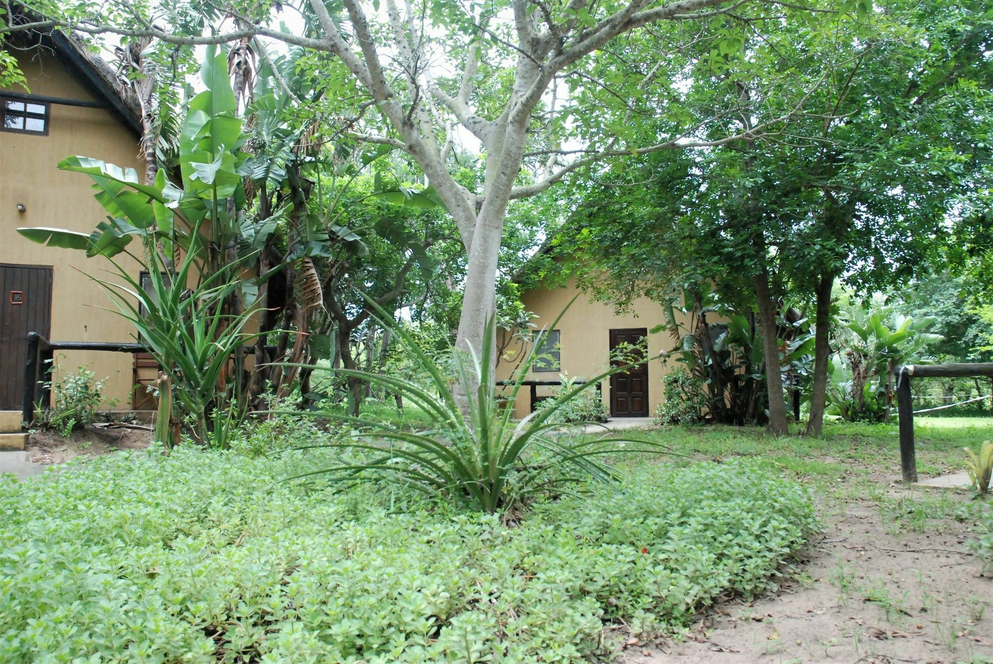 Villa We Bushcamp & Horse Safaris Hluhluwe Exterior foto